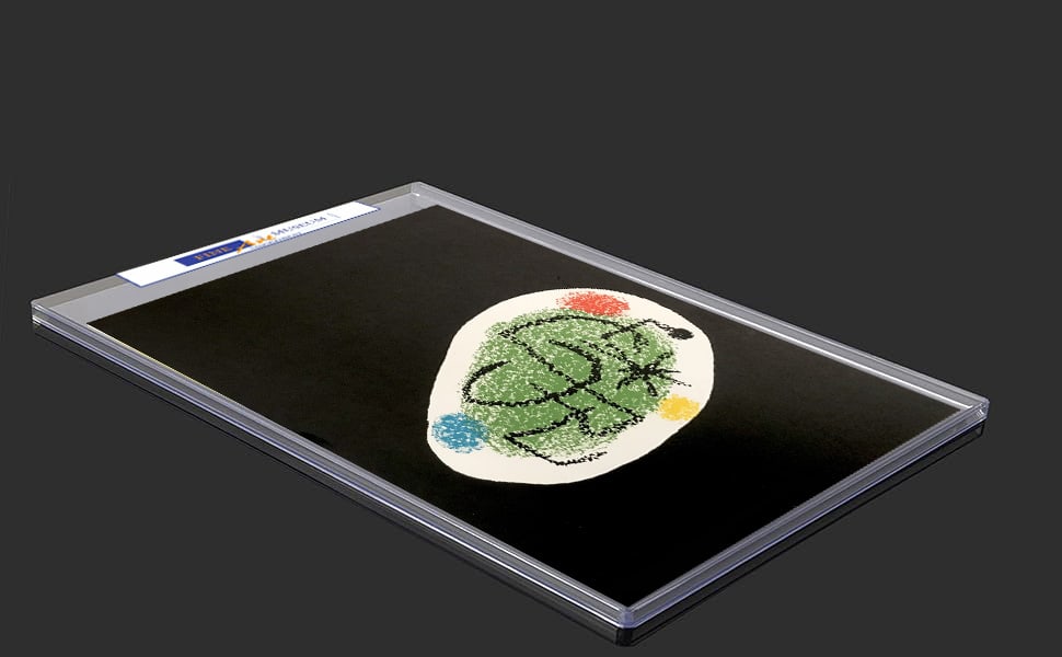 Joan Miro Original Lithograph 3 XXe Siele 1968 - 2