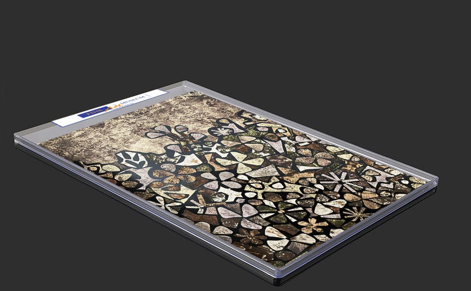 Jean Dubuffet Original Lithograph Jardin de quite vite XXe Siele 1957 - 2