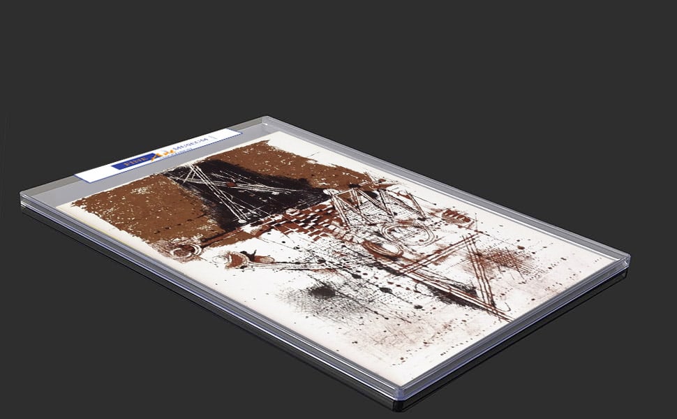 Lee Friedlander Original Lithograph Les Oiseaux XXe siecle 1973 - 2