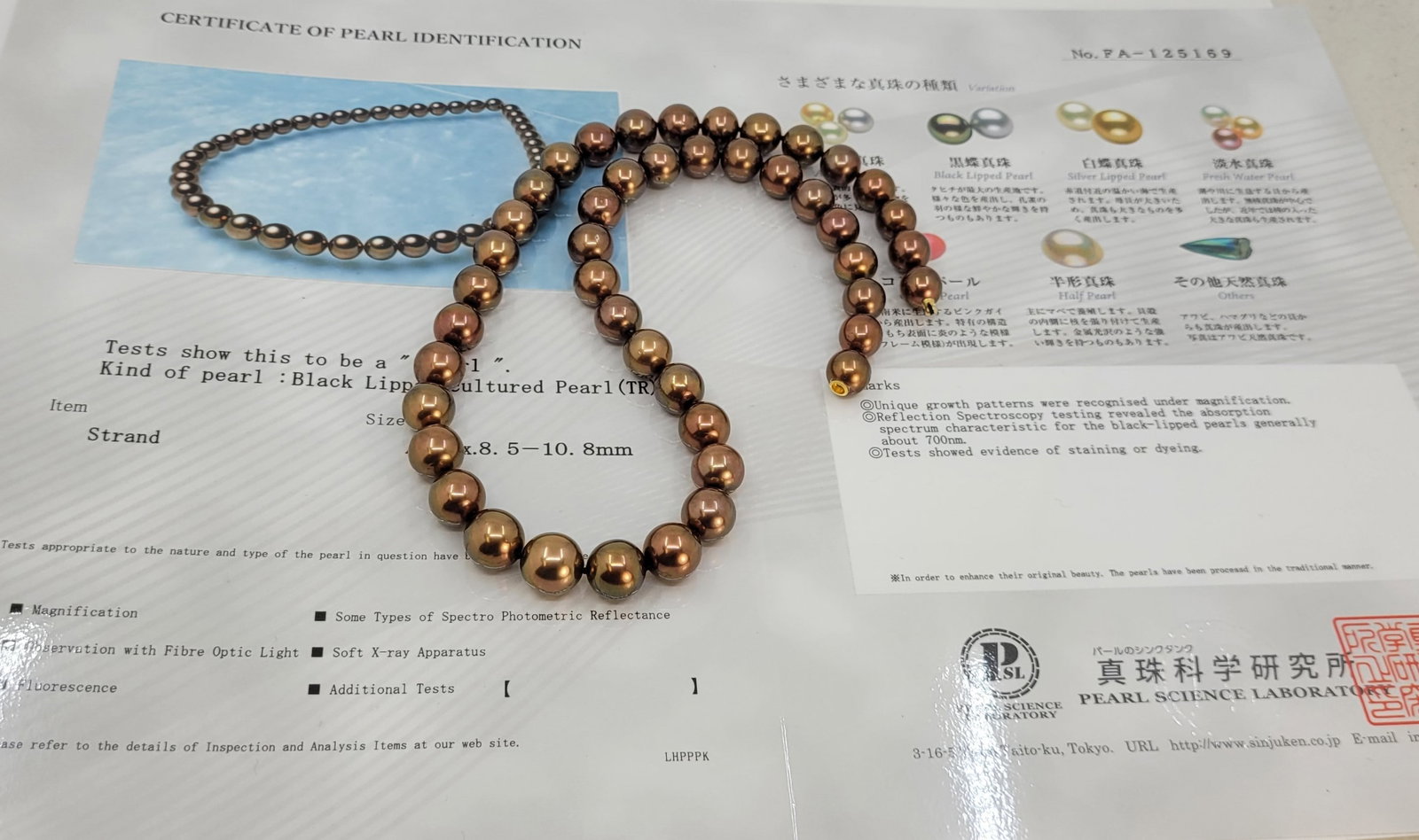 Necklace PSL Certified Chocolate Tahitian Pearls 8.5x10.8mm - 13