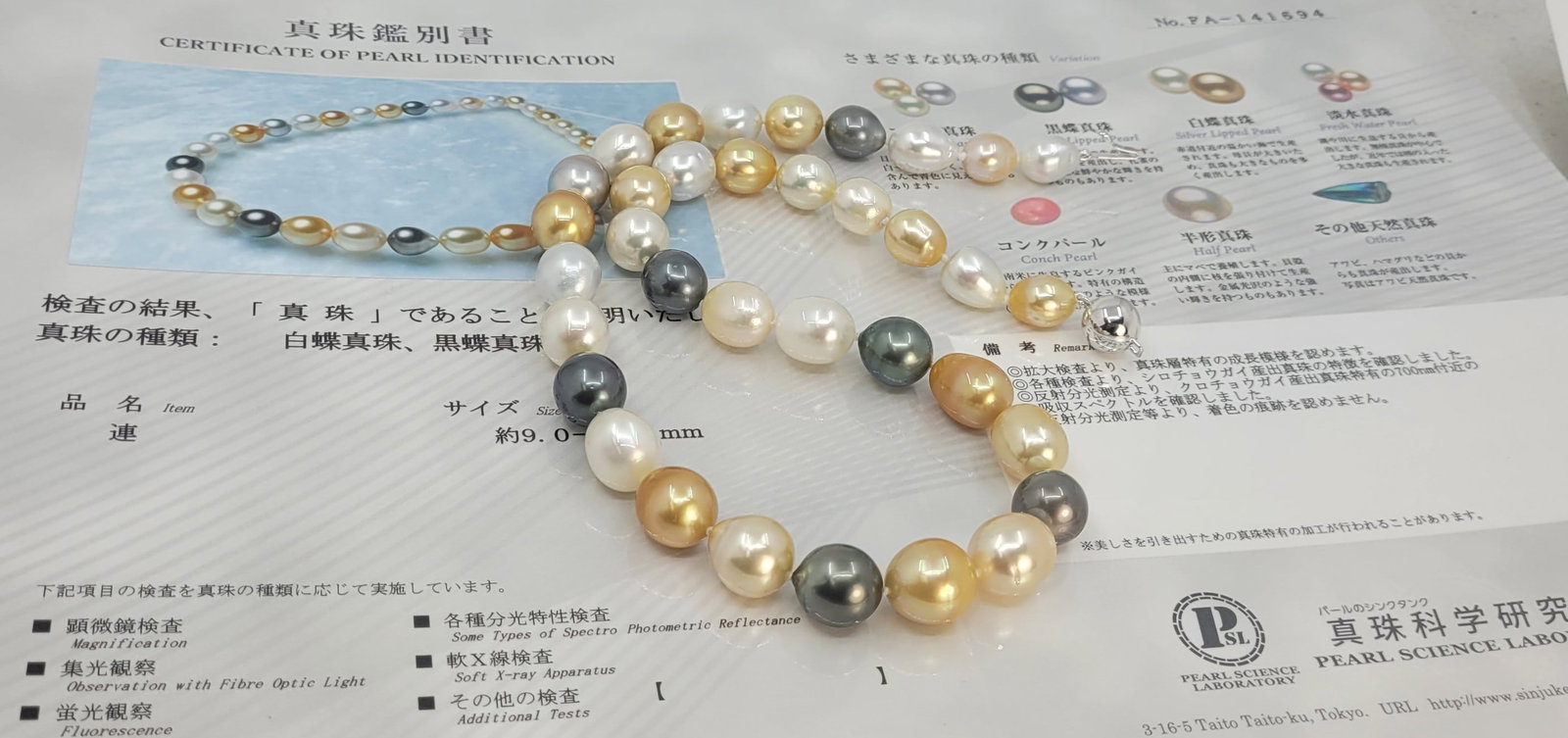 Necklace PSL Certified South Sea and Tahiti pearls - 9.0x12.1mm - 14