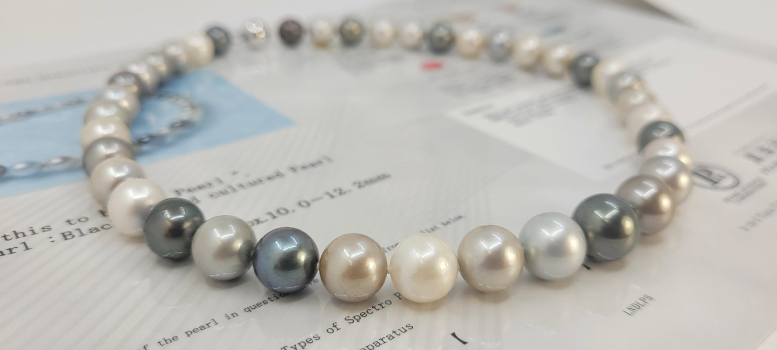 Necklace PSL Certified Tahitian Pearls - 10.0x12.2mm - 8