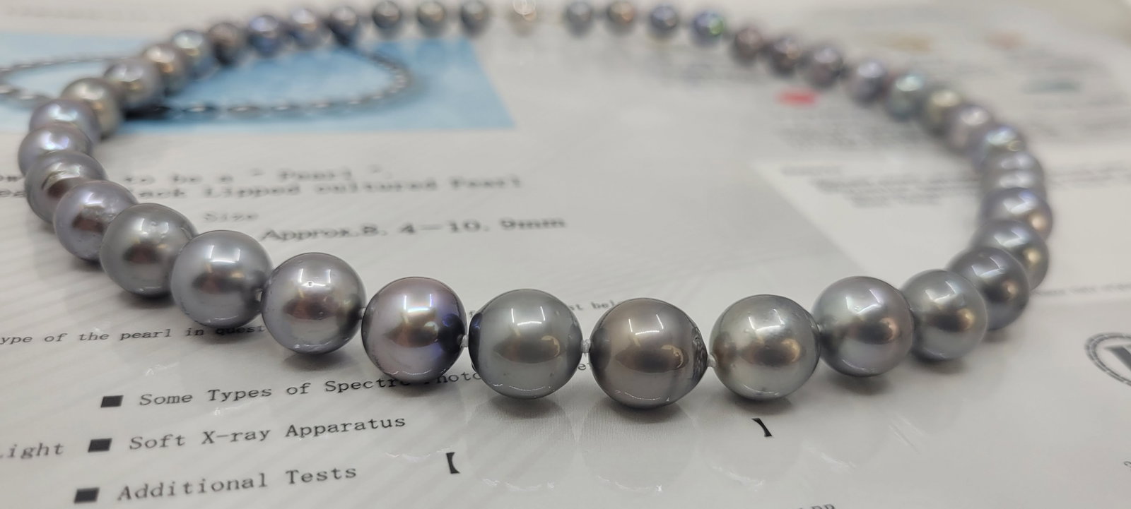 Necklace PSL Certified Tahitian Pearls - 8.4x10.9mm - 7