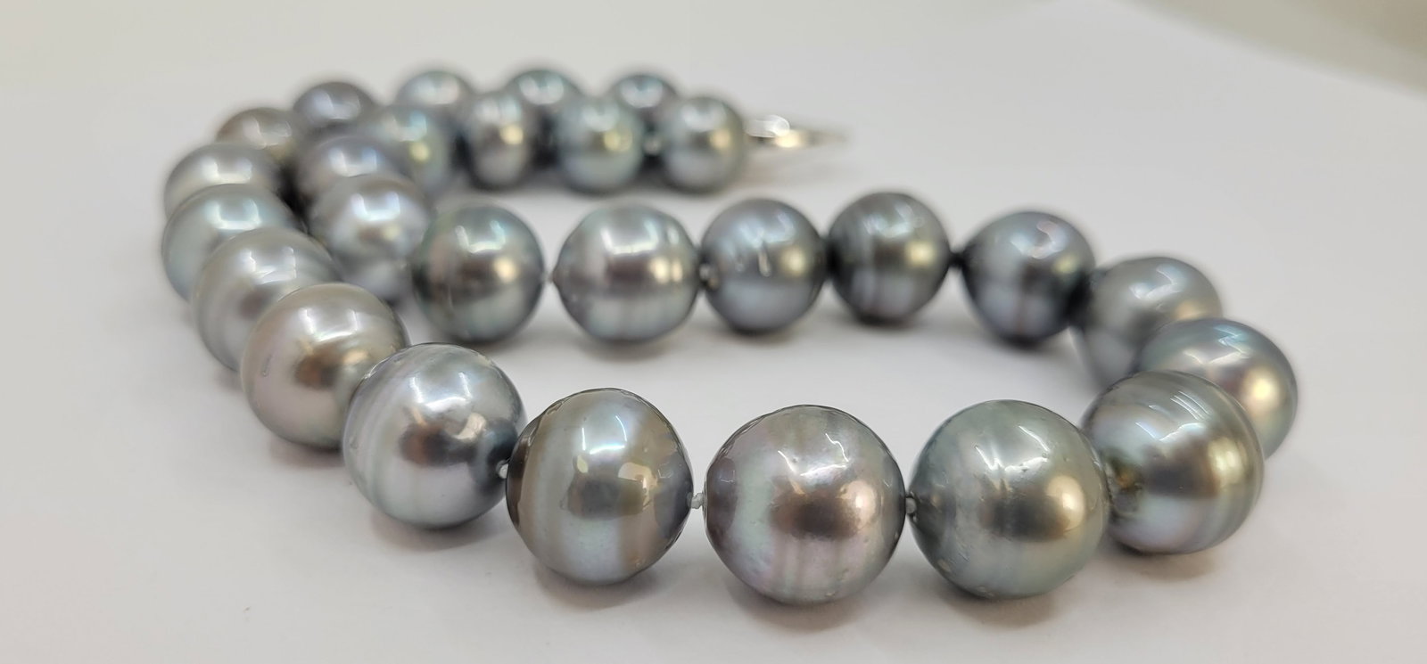 Necklace Silver, PSL Certified Dove Grey Tahitian Pearls - Huge Size - 15.0x15.9mm - 11