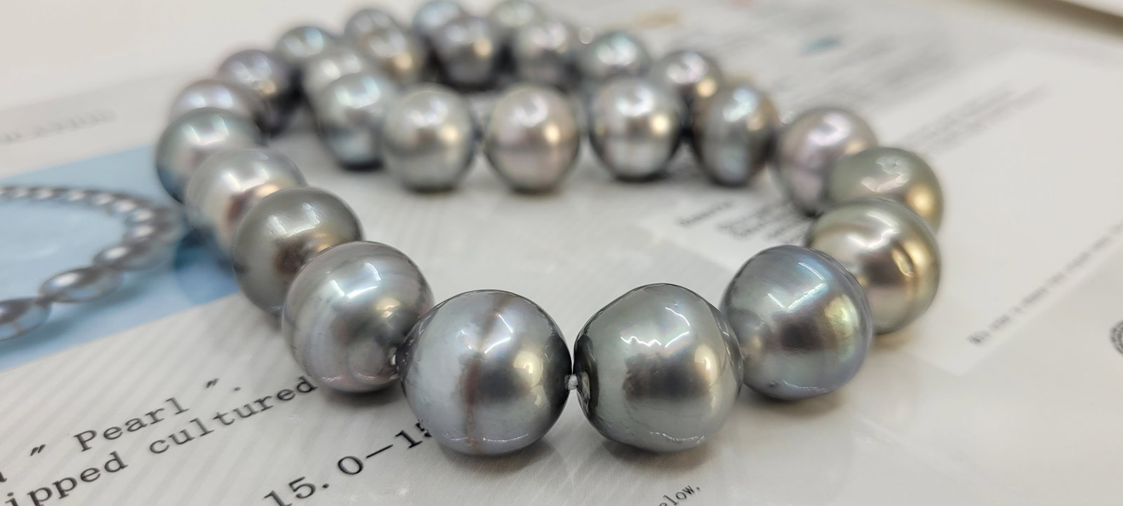Necklace Silver, PSL Certified Dove Grey Tahitian Pearls - Huge Size - 15.0x15.9mm - 6