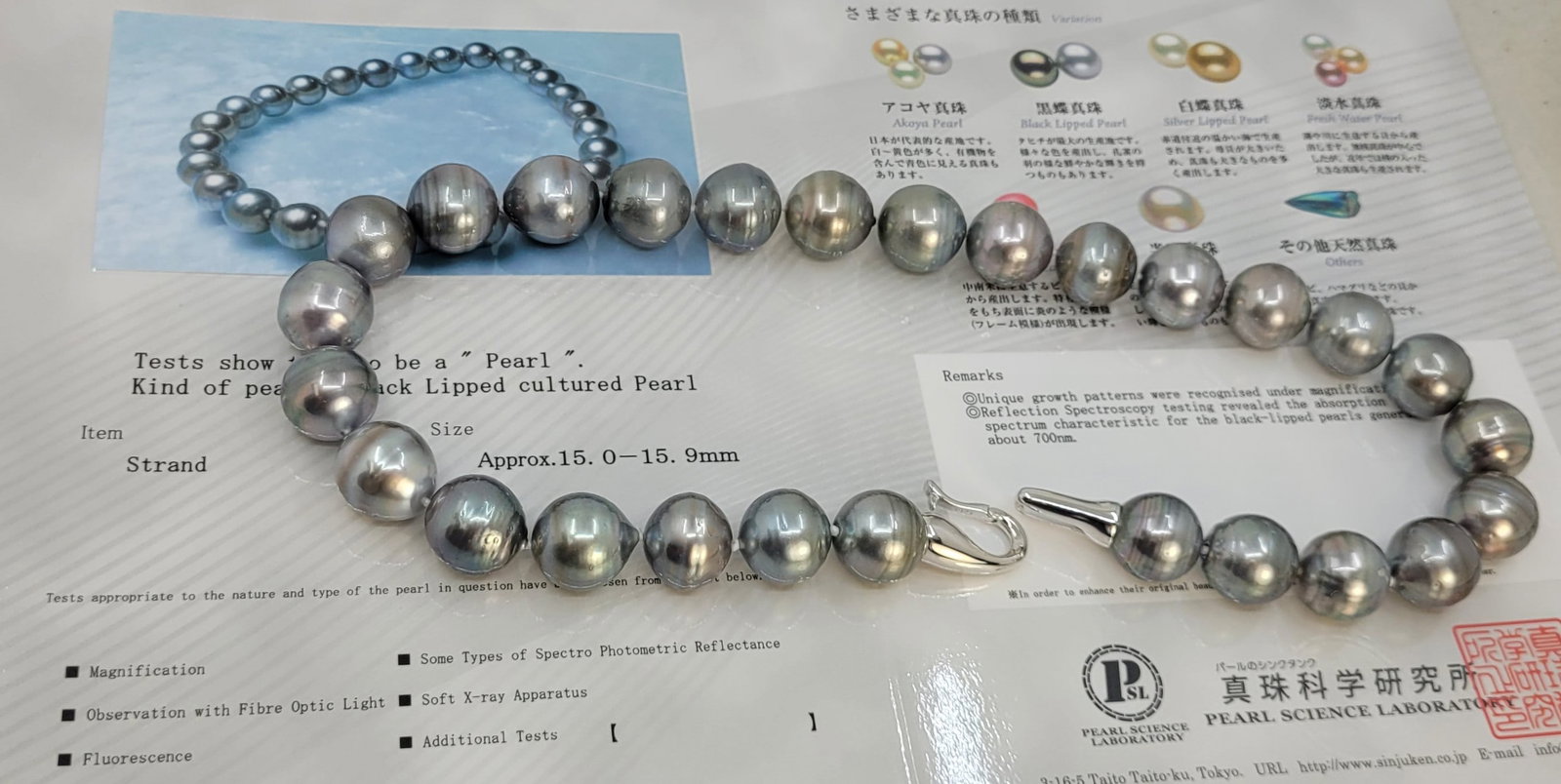 Necklace Silver, PSL Certified Dove Grey Tahitian Pearls - Huge Size - 15.0x15.9mm - 7