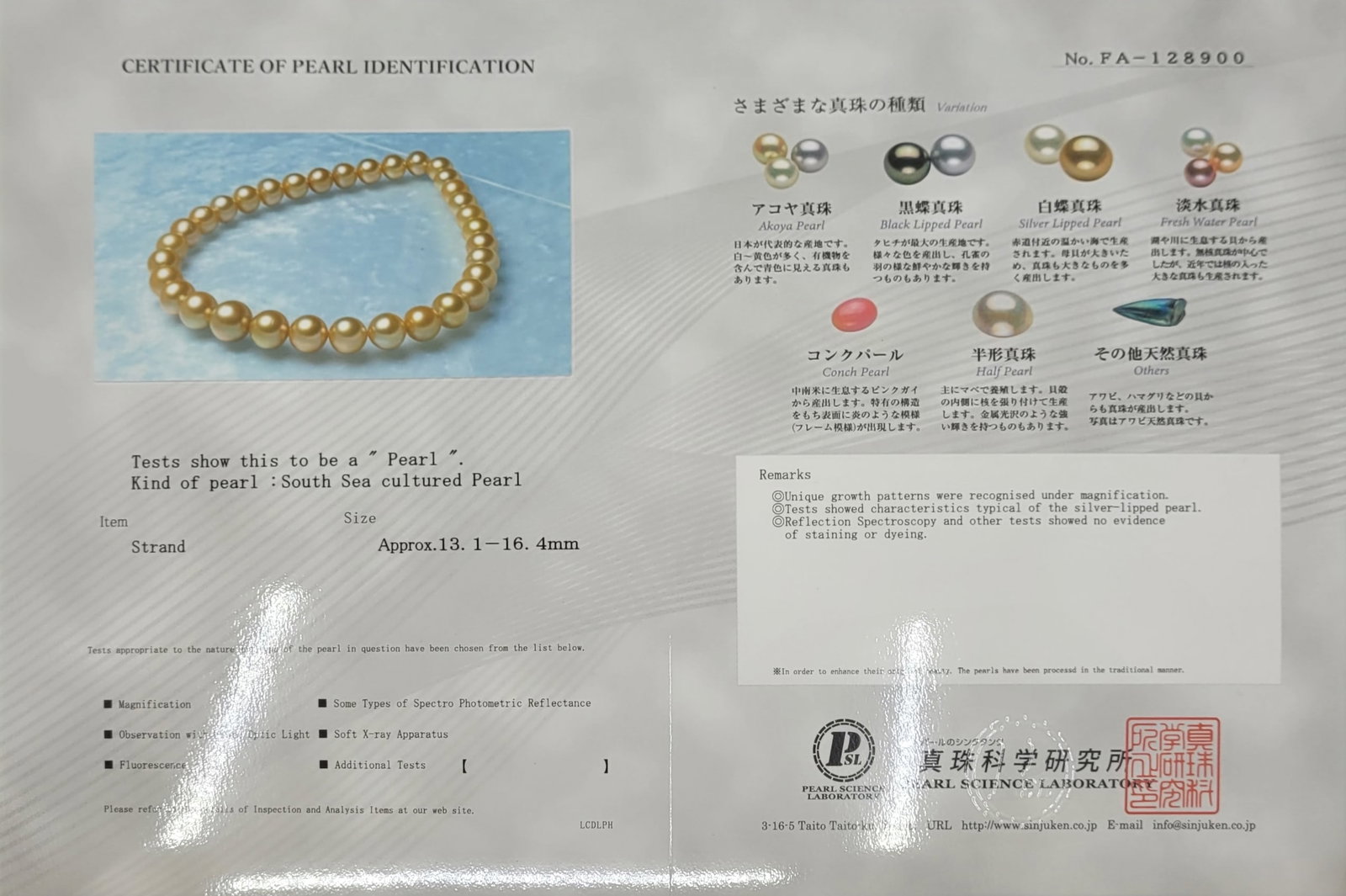 Necklace PSL Certified Australian Deep Golden South Sea Pearls - Huge Size - 13.1x16.4mm - 10