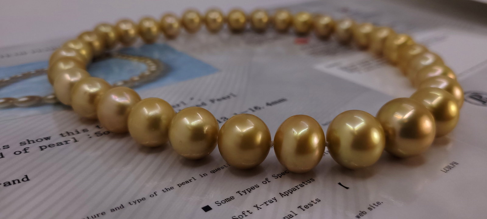 Necklace PSL Certified Australian Deep Golden South Sea Pearls - Huge Size - 13.1x16.4mm - 14