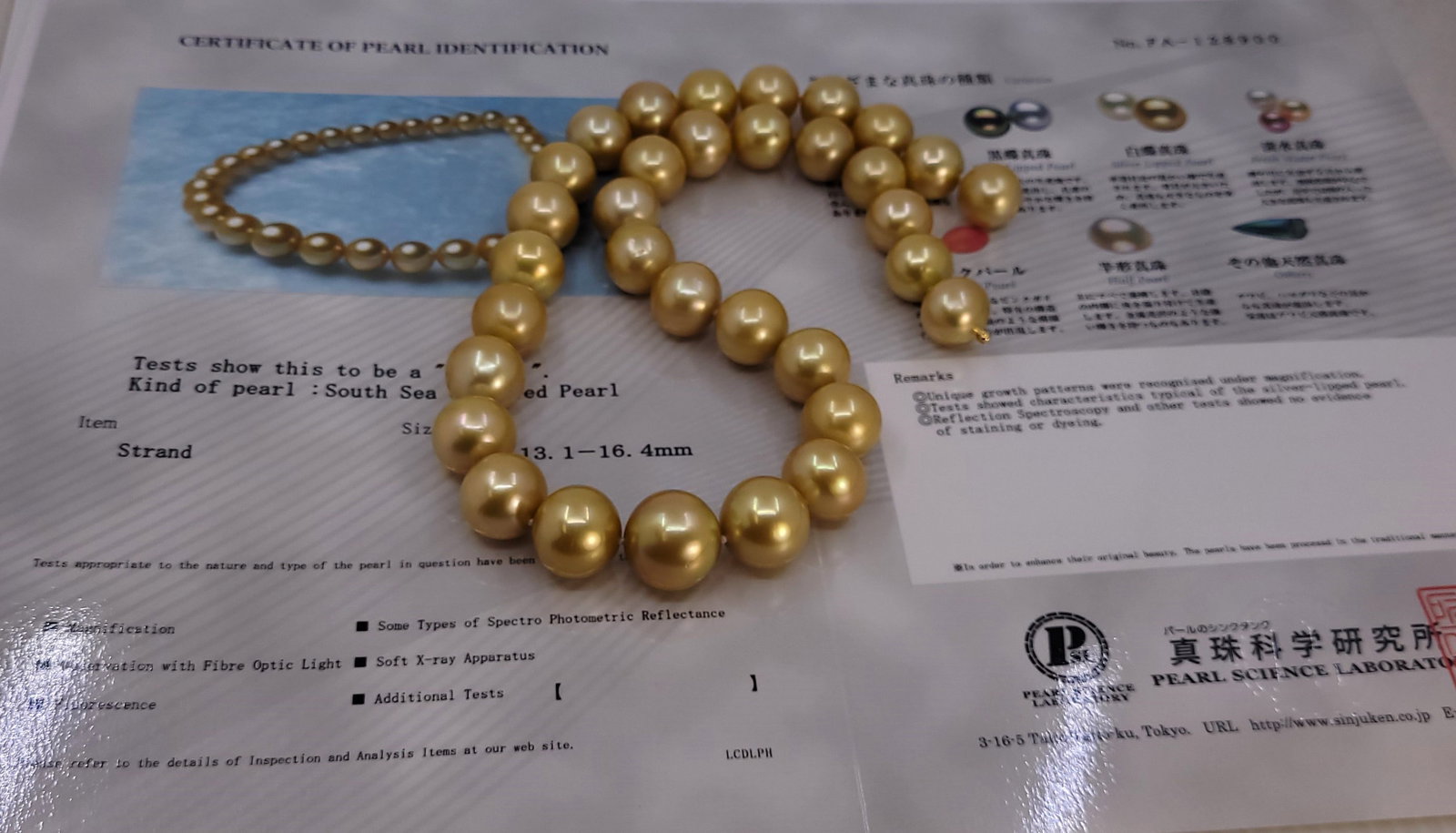 Necklace PSL Certified Australian Deep Golden South Sea Pearls - Huge Size - 13.1x16.4mm - 18