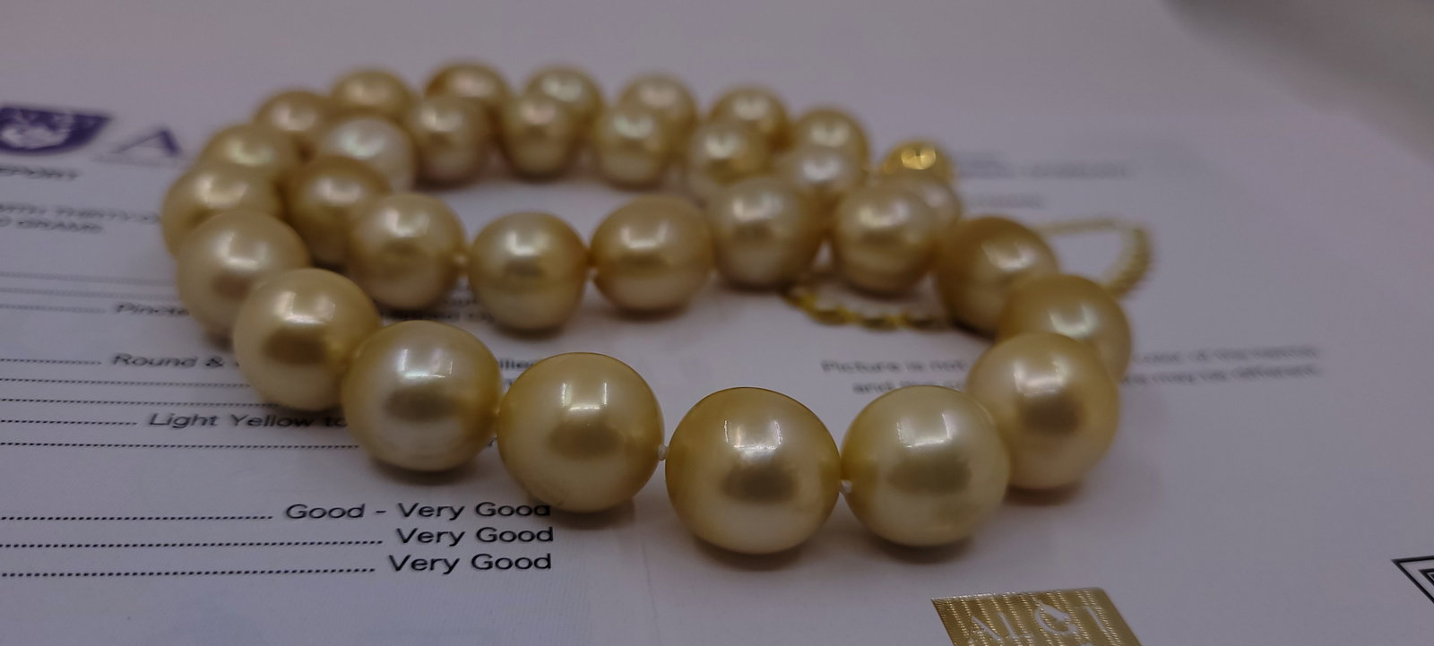 Necklace HUGE SIZE - ALGT Certified Golden South Sea Pearls - 11.6x14.4mm - 15