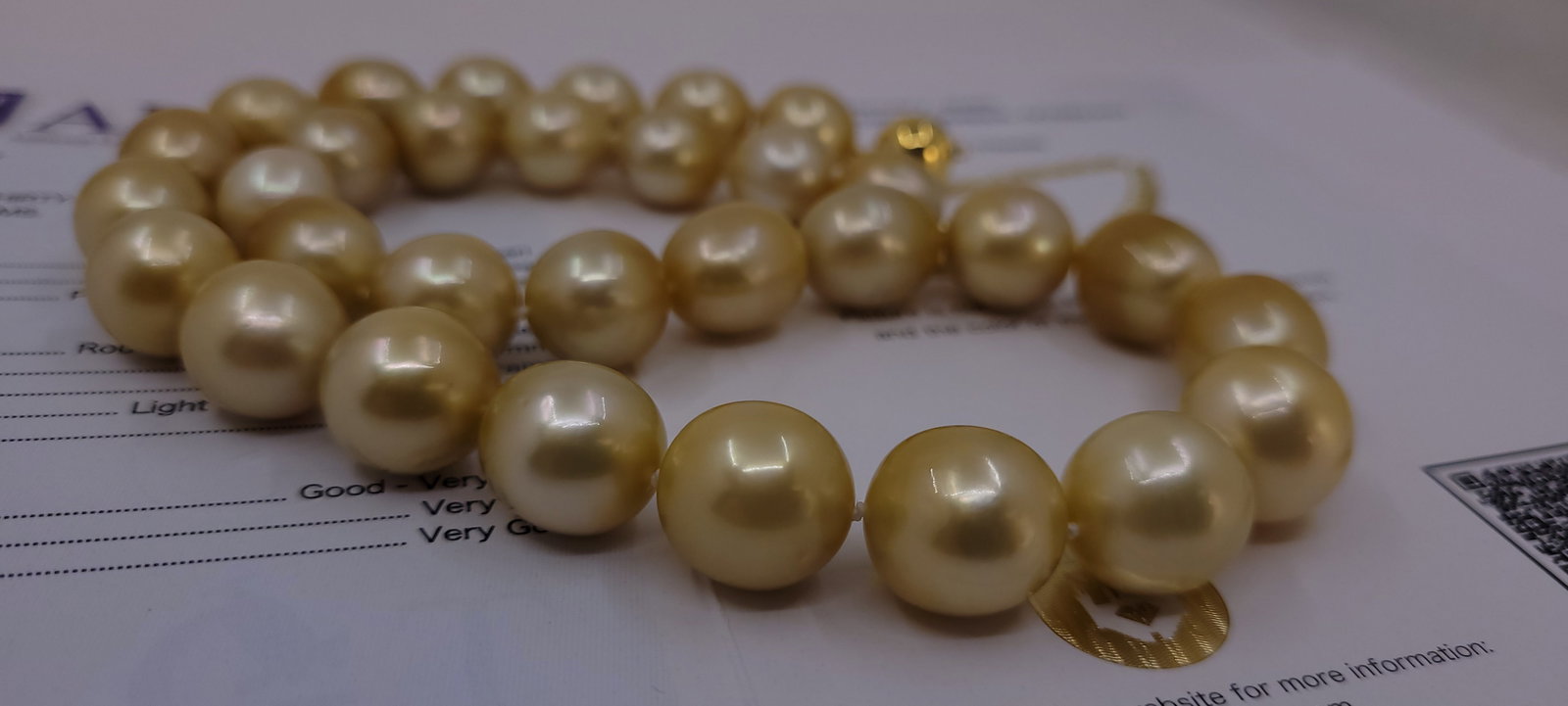 Necklace HUGE SIZE - ALGT Certified Golden South Sea Pearls - 11.6x14.4mm - 17