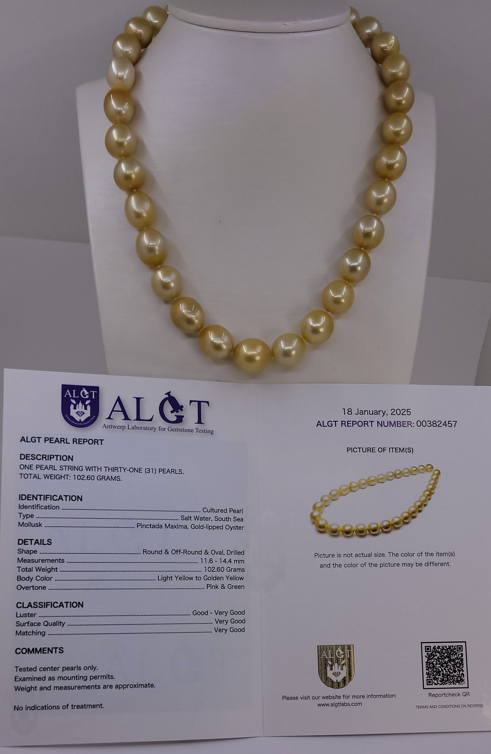 Necklace HUGE SIZE - ALGT Certified Golden South Sea Pearls - 11.6x14.4mm - 6