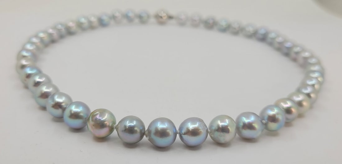 Necklace 8.5x9mm Silvery Akoya Pearls - 5