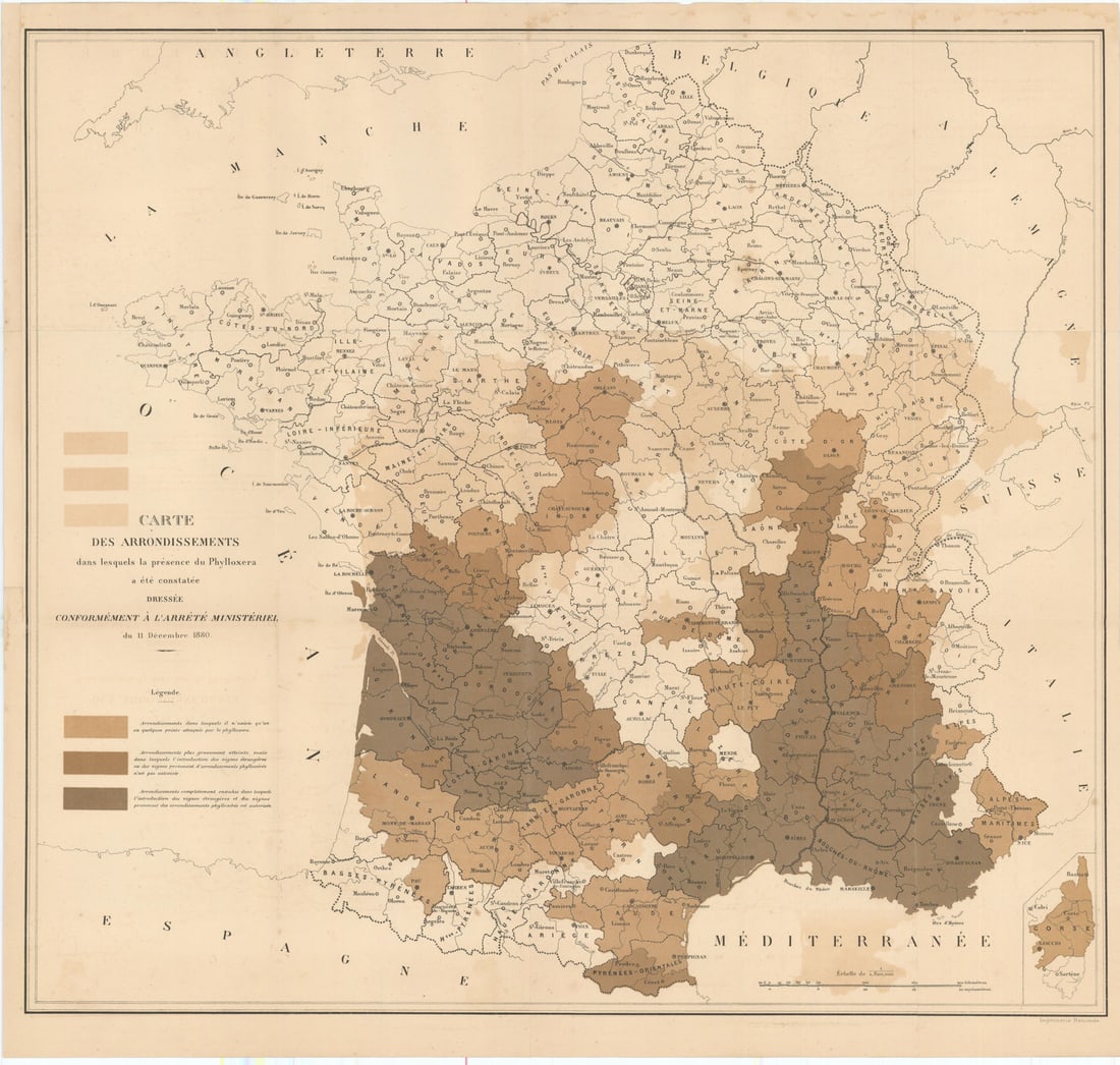 Map of France—Phylloxera-affected arrondissements—Viticulture / wine map 1881: Title: Map of France—Phylloxera-affected arrondissements—Viticulture / wine map 1881 Description: Carte des arrondissements dans lesquels la présence du Phylloxera a été constatée dressée con