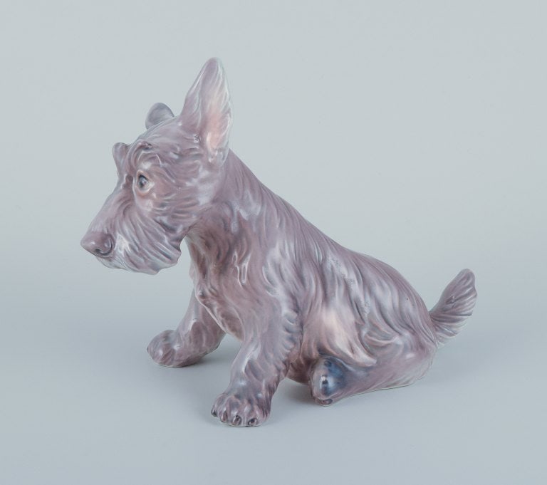 Dahl Jensen, porcelain figurine of a sitting Scottish Terrier. - 2