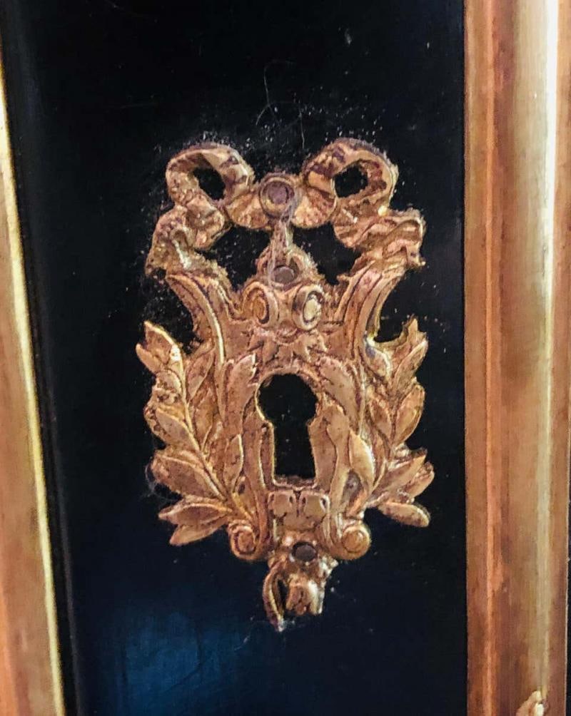 Two-Door Ebony Cabinets in the Manner of Maison Jansen, a Pair - 8