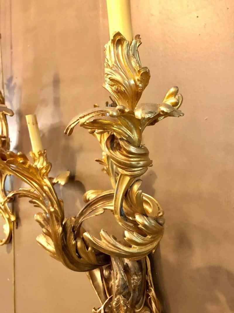 Pair of Louis XVI Style Bronze Three Light Gilt Bronze Sconces - 2