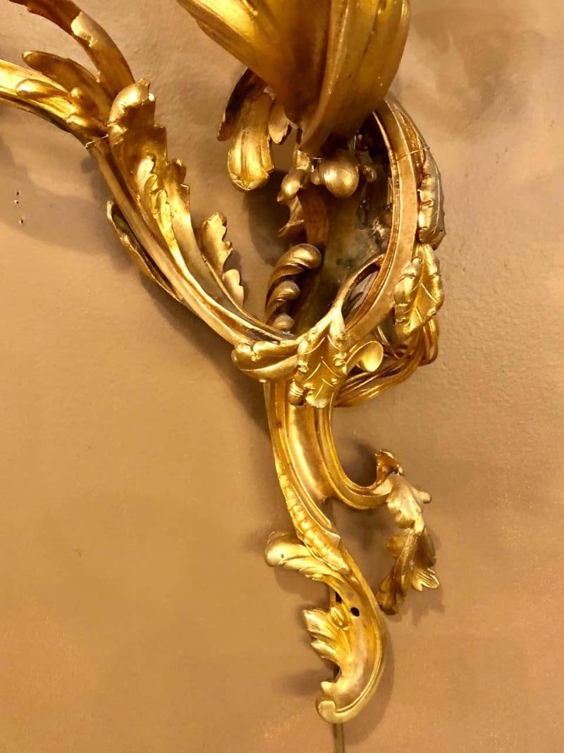 Pair of Louis XVI Style Bronze Three Light Gilt Bronze Sconces - 3