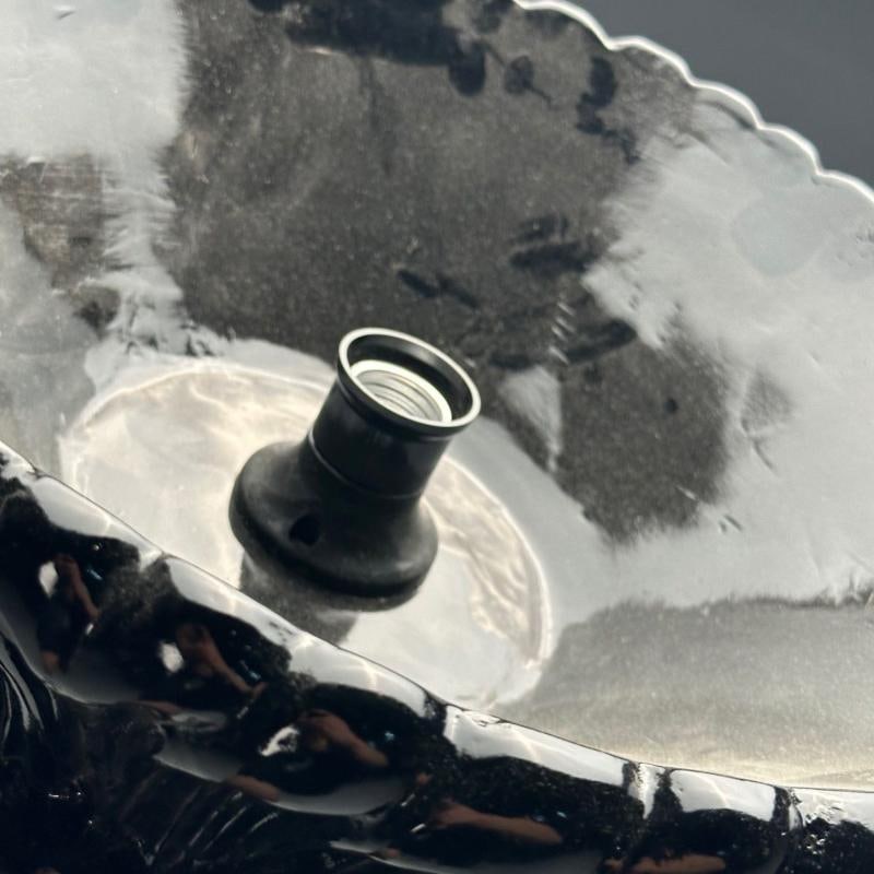 Serge Roche Style, Mid-Century Modern, Palm Leaf Floor Lamps, Black Lacquer - 12