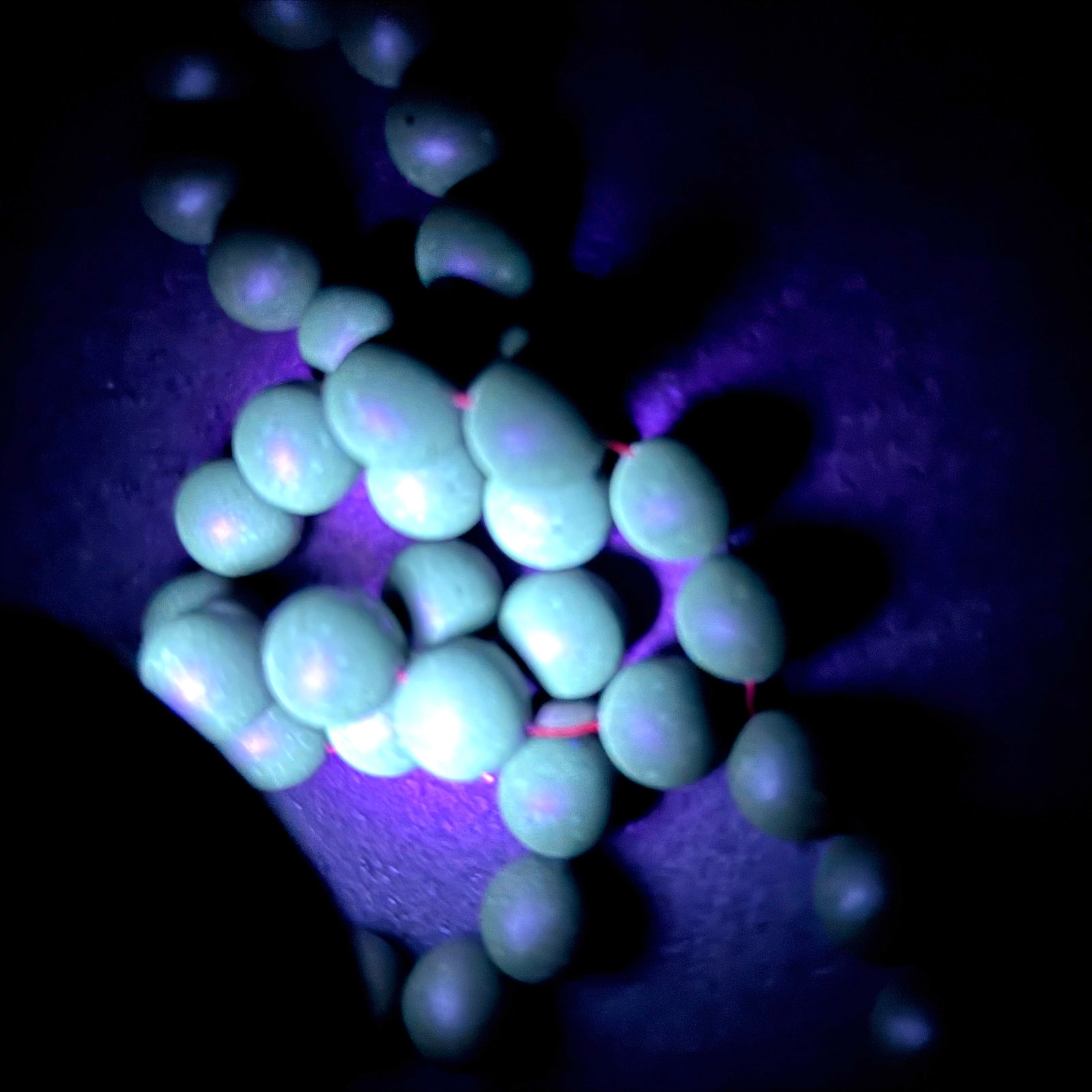 Unique and Stunning Amber Tesbih made from Round Amber beads - 5