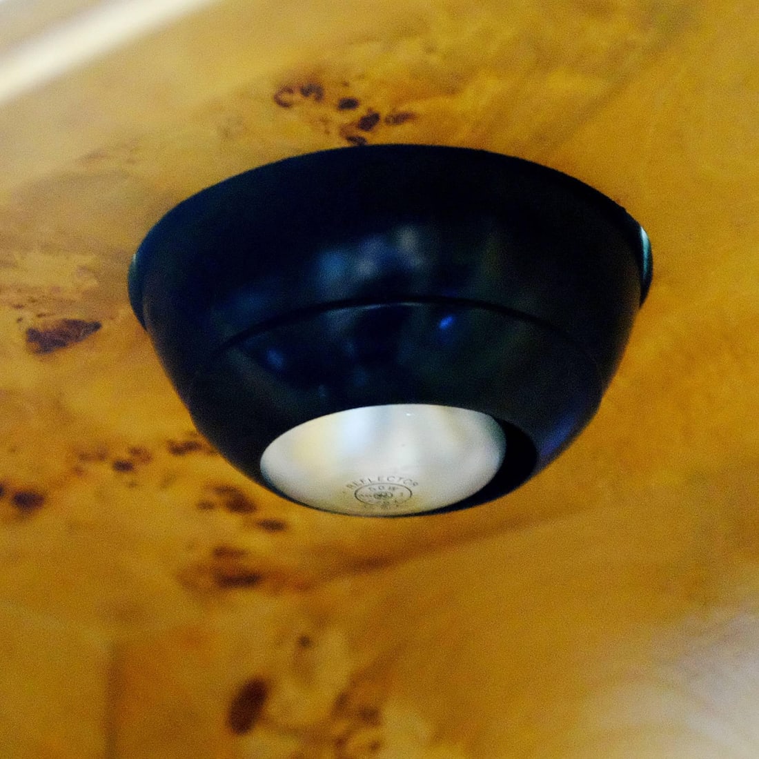 Burl wood China Lighted Cabinet by Dillingham - 3