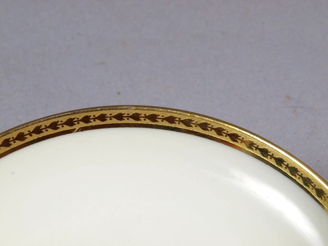 Limoges Elite Bawo & Dotter BWD25 Laurel Leaf Coffee Teacup Saucer Set France - 4