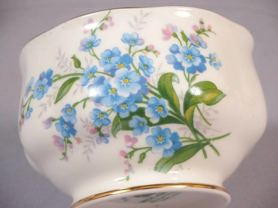 Royal Albert Forget me Not England Vintage Creamer Jug Sugar Bowl Plate - 4