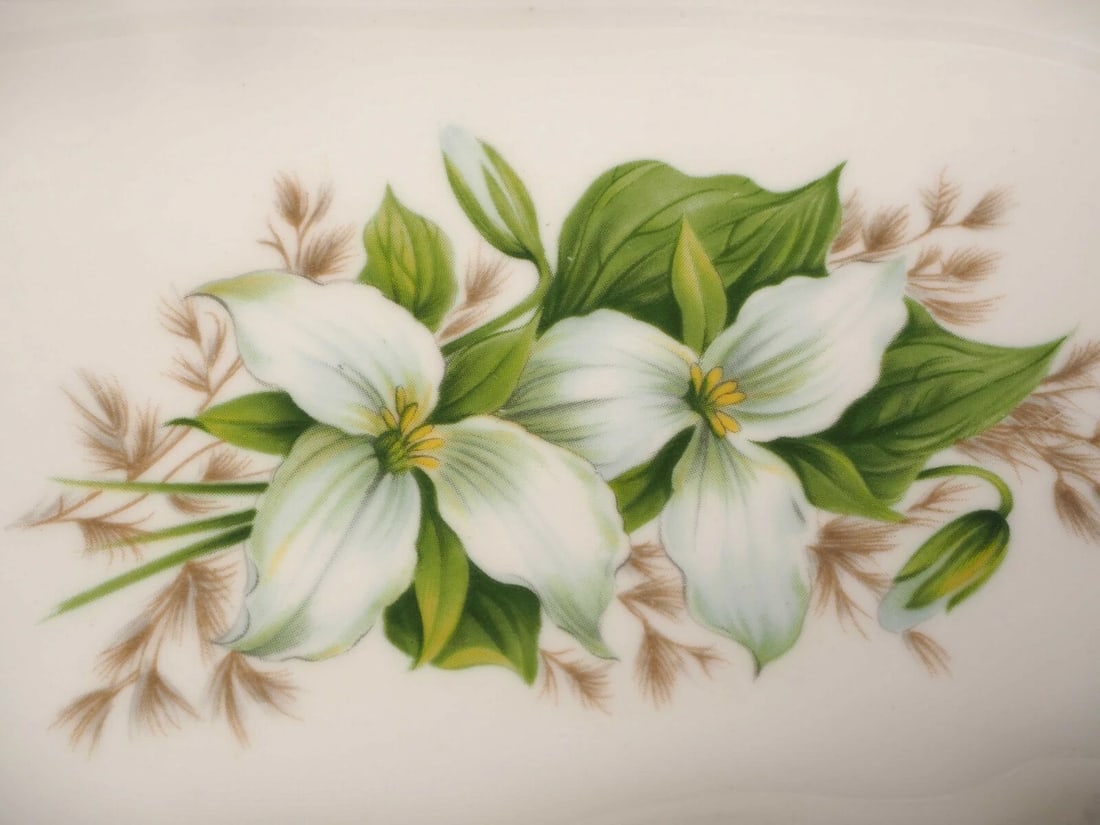 Royal Adderley Trillium Small Creamer and Open Sugar Bowl gold white Dish - 3