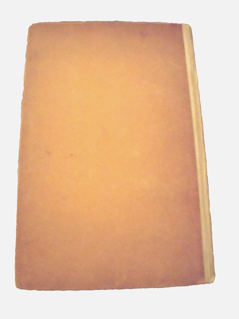 Tartarin Von Tarascon Daudet,Alphonse 1913 1st Ed.HC Dachau Ill. Emil Preetorius - 5