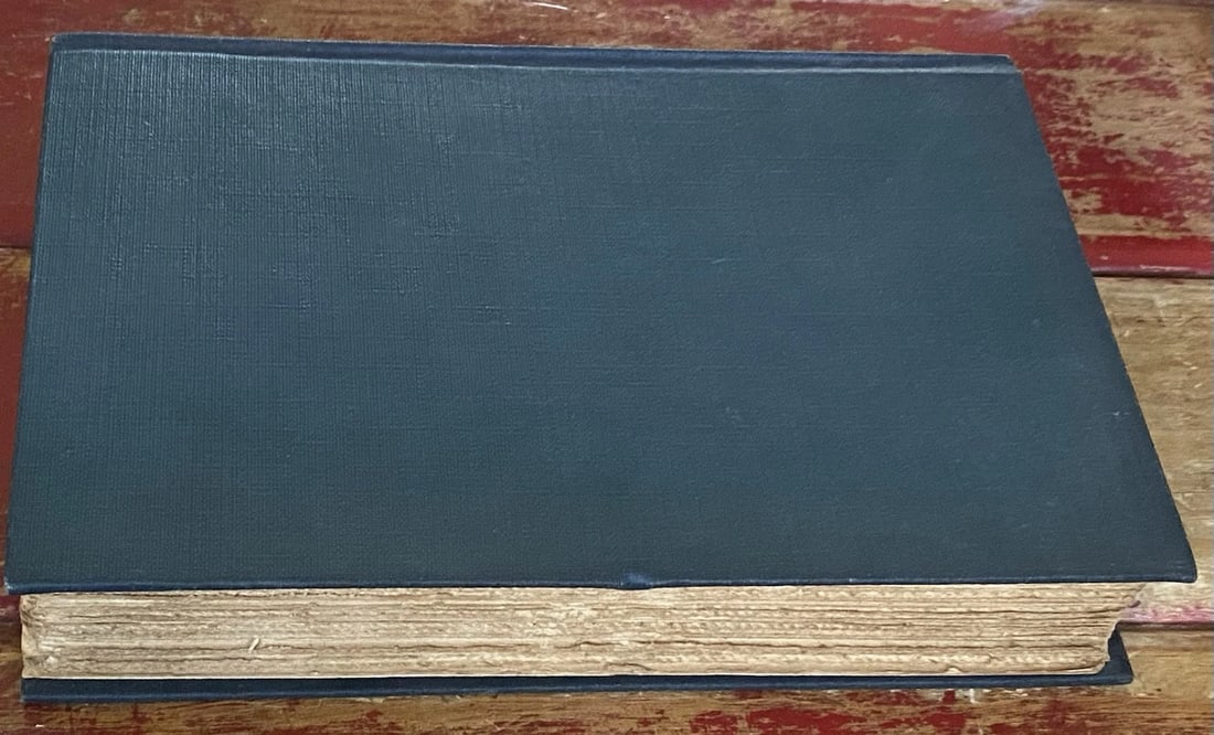 A Tramp Abroad Mark Twain 1907 Illustrated HC Authors Natl Ed. Vol III Book I - 17