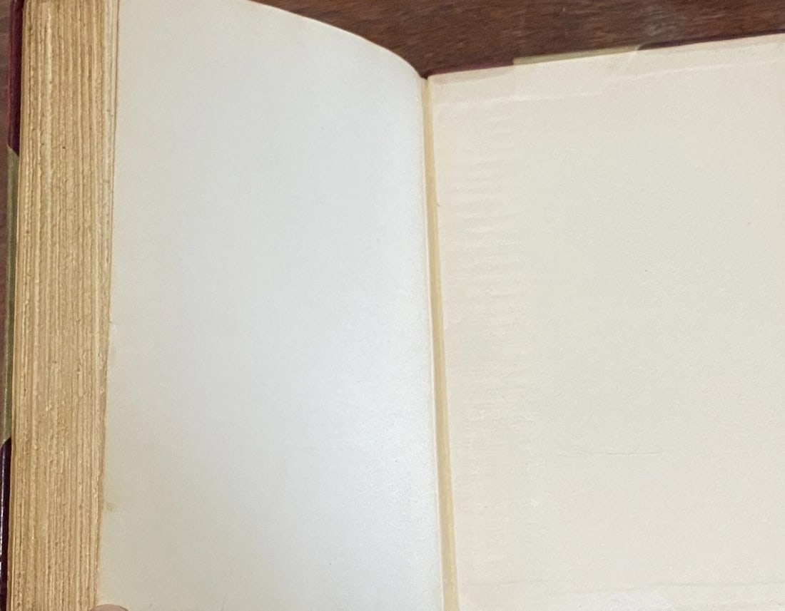 Guy De Maupassant Mont-Oriol, Plays #173/1,000 Ltd. Ed.1910 Pearson Illustrated - 12