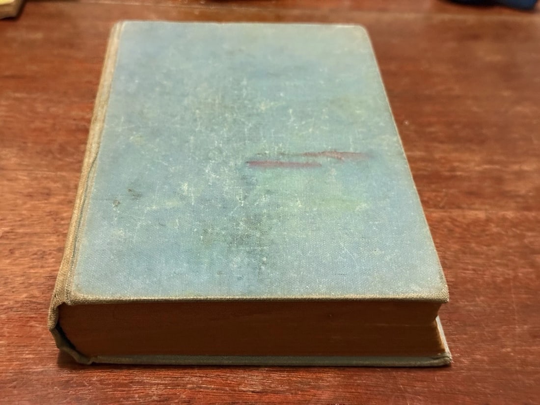 The Forbidden Trail Lilian Garis 1933 1st Ed. Mystery HC Good Condition Grosset - 8