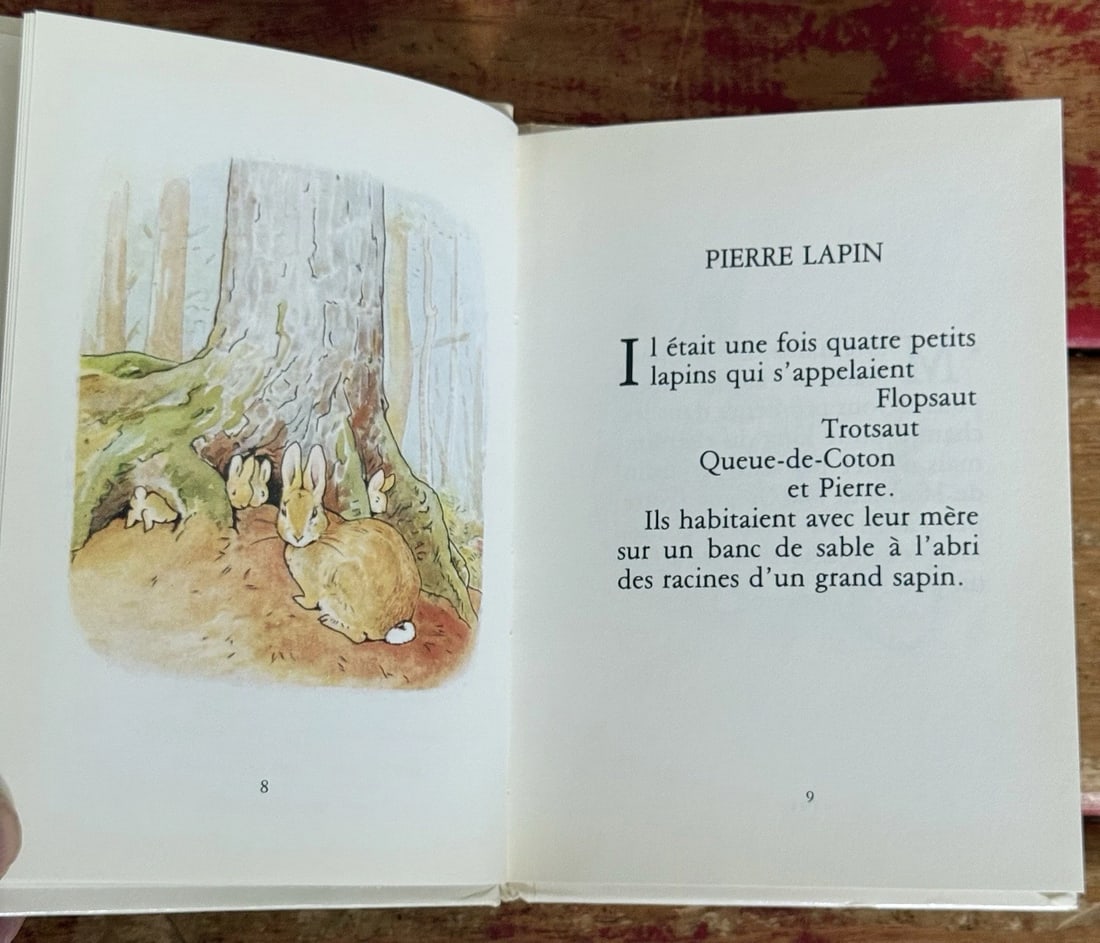 Pierre Lapin by Beatrix Potter - Gallimard - 1985 Like New Condition! - 9