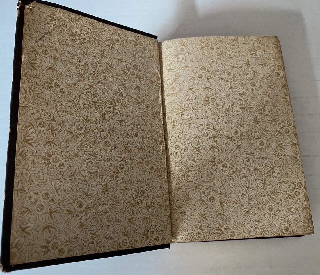 Sir Edward Bulwer Lytton What Will He Do With It 1st Edition Thus HC Very Good - 8