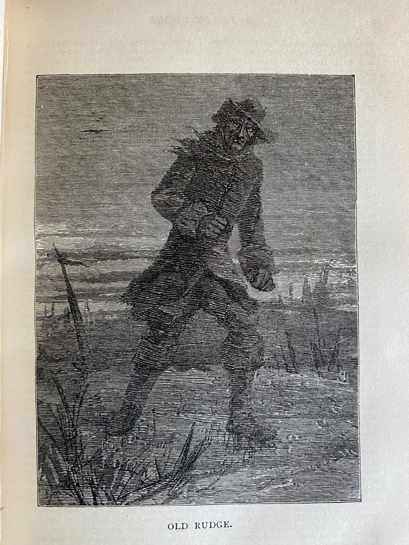 Dickens' Works Illustrated Barnaby Rudge, Hard Times 1875 HC James R.Osgood Ill. - 8