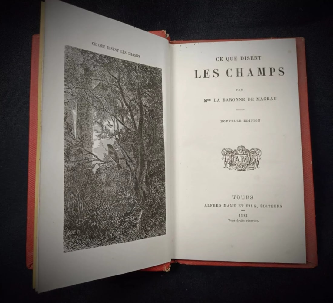 Antique 1881 Book "Ce que disent les champs" by Baronne de Mackau - 3