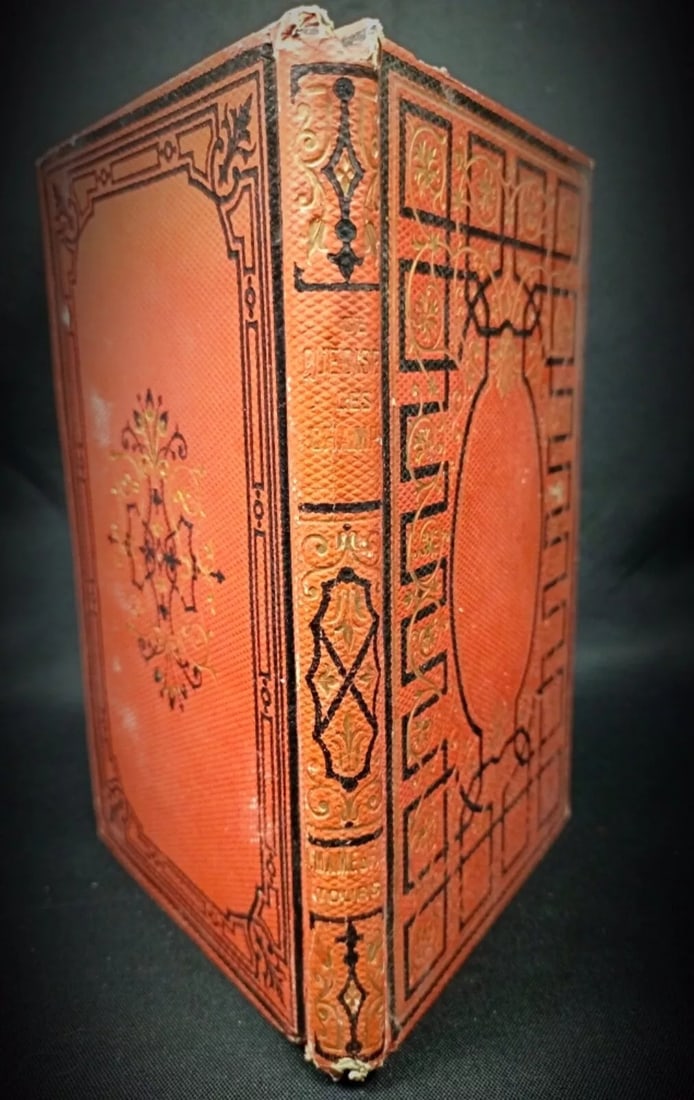 Antique 1881 Book "Ce que disent les champs" by Baronne de Mackau - 5