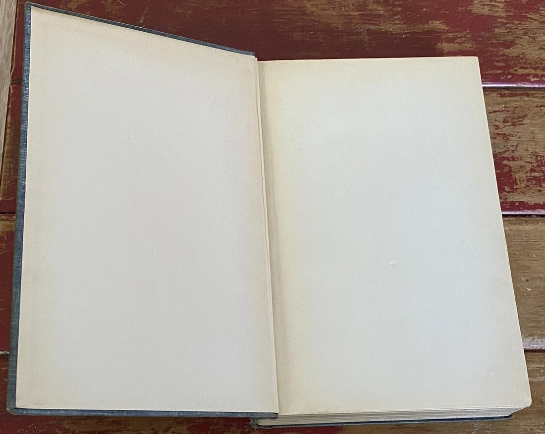 THE STRANGE CAREER of MR. HOOVER UNDER TWO FLAGS 1931 1st/9th HC IllustVery Good - 11