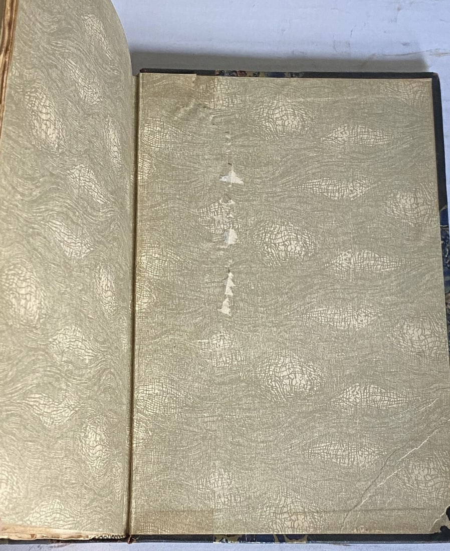 Shakespeares Works Elgin Ed. Deluxe Vol.IX AllsWell; HenryVIIIMorris 1901 #360 - 17