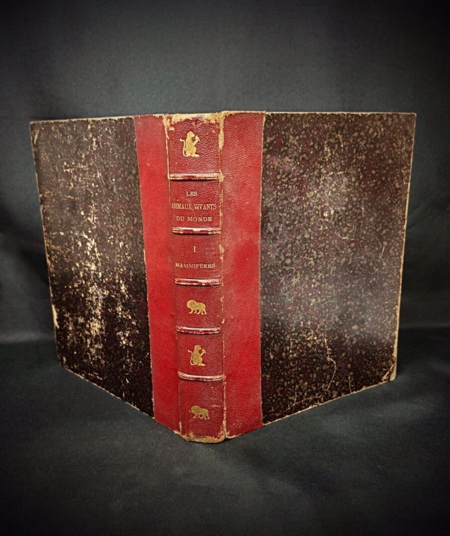 Les Animaux Vivants du Monde: Tome 1 - Mammiferes by Charles J. Cornish - 2