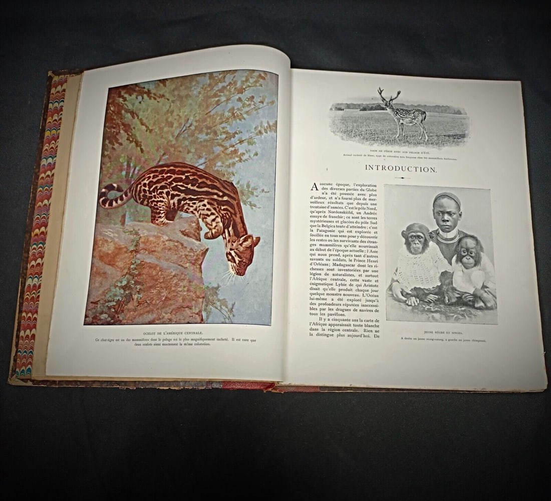 Les Animaux Vivants du Monde: Tome 1 - Mammiferes by Charles J. Cornish - 3