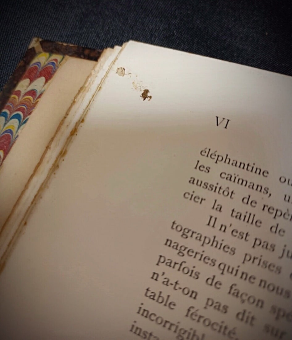 Les Animaux Vivants du Monde: Tome 1 - Mammiferes by Charles J. Cornish - 8