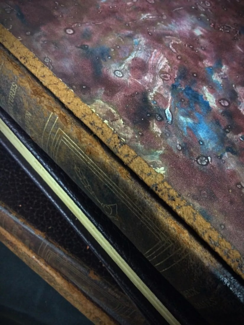 1954 Antique Book Set: "Vie et Aventure de Salavin by G. Duhamel 5 books - 10