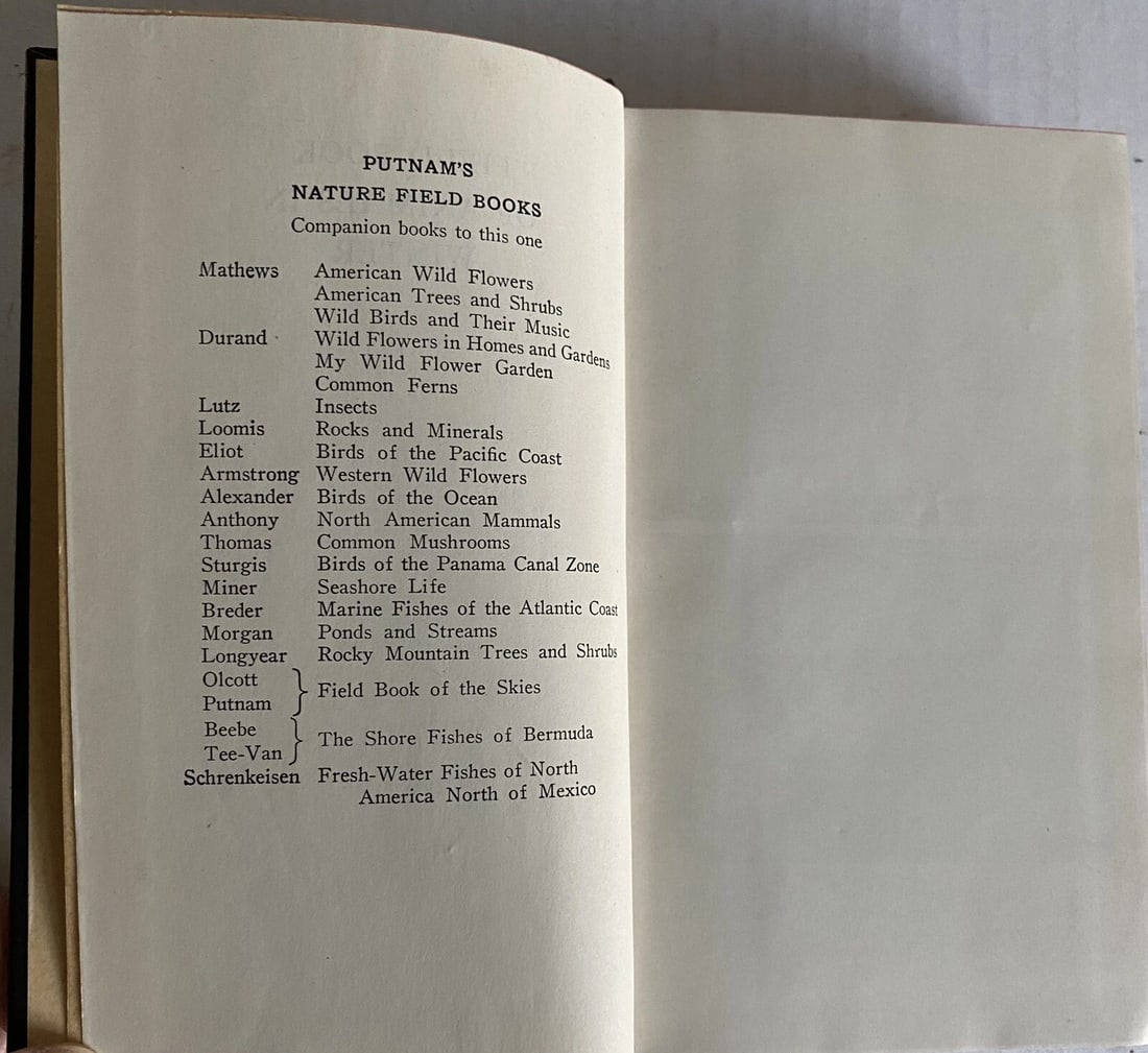 Field Book of Animals in Winter Ann Haven Morgan VTG HC 1st/2nd Putnam VG/Near F - 15