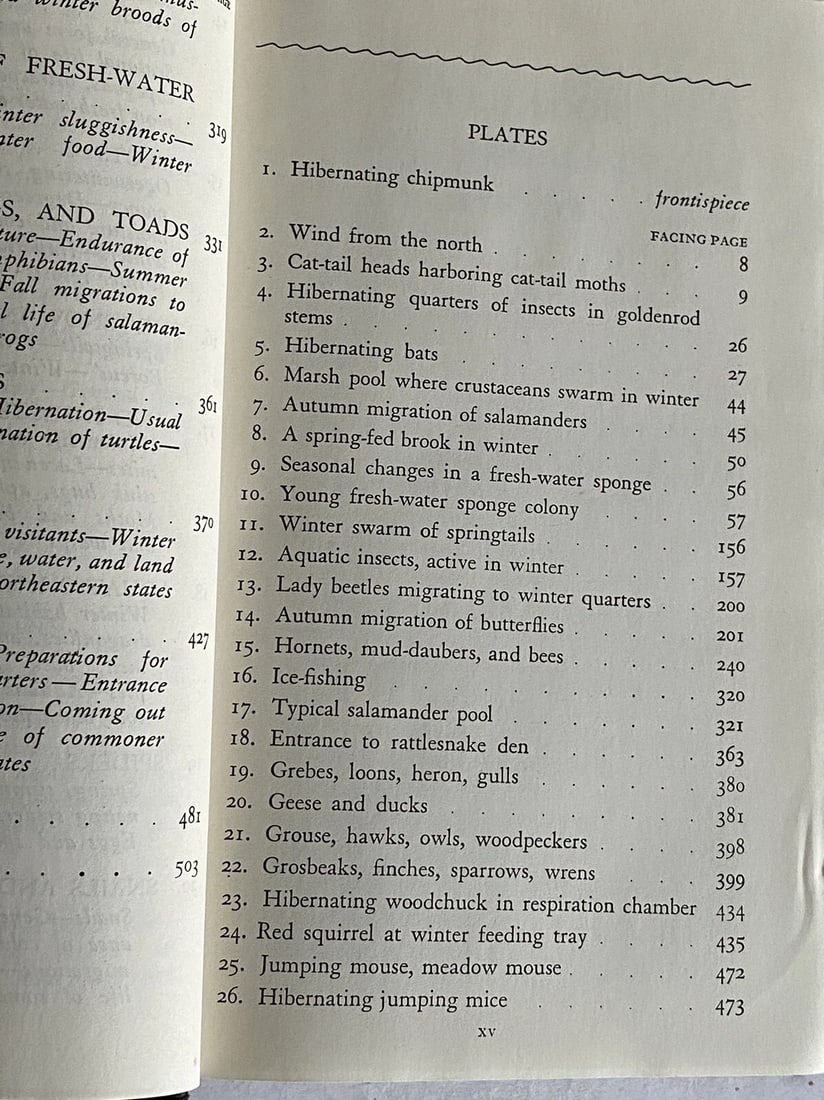 Field Book of Animals in Winter Ann Haven Morgan VTG HC 1st/2nd Putnam VG/Near F - 17