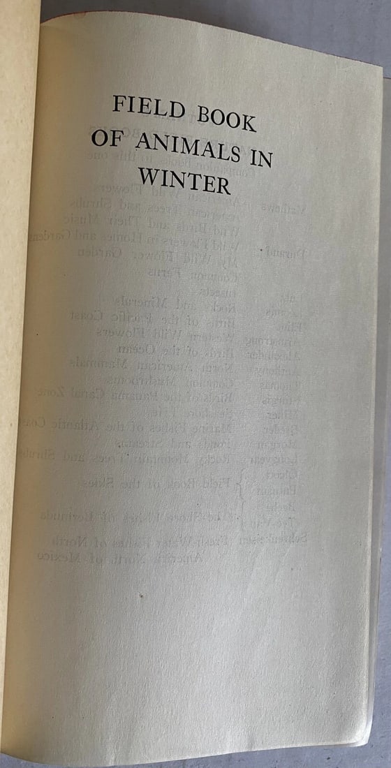 Field Book of Animals in Winter Ann Haven Morgan VTG HC 1st/2nd Putnam VG/Near F - 5