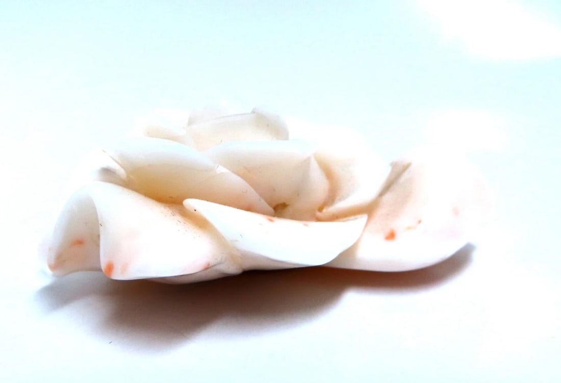 GIA Certified Carved Coral - 4