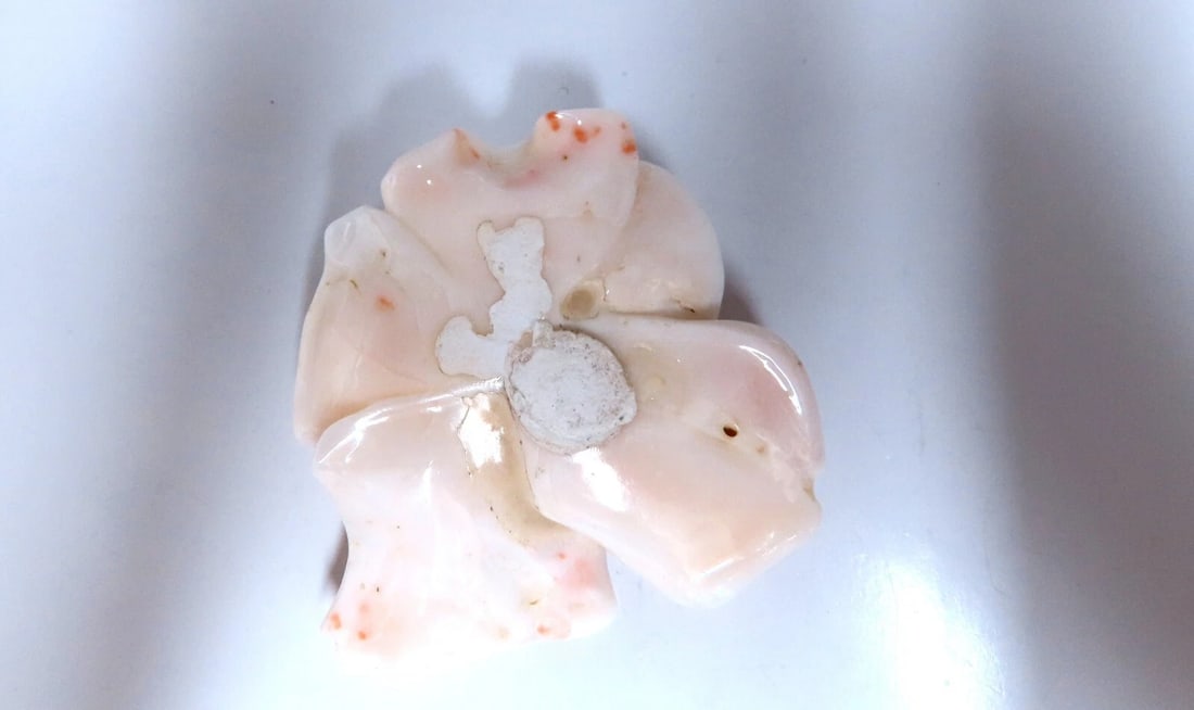 GIA Certified Carved Coral - 7