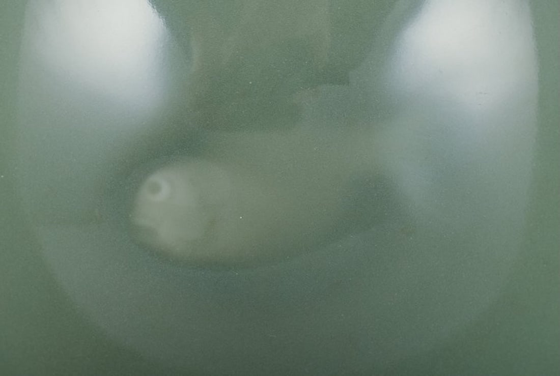 Nils Thorsson for Royal Copenhagen. Ceramic bowl in celadon glaze. Featuring a fish motif. Mid-20th - 6