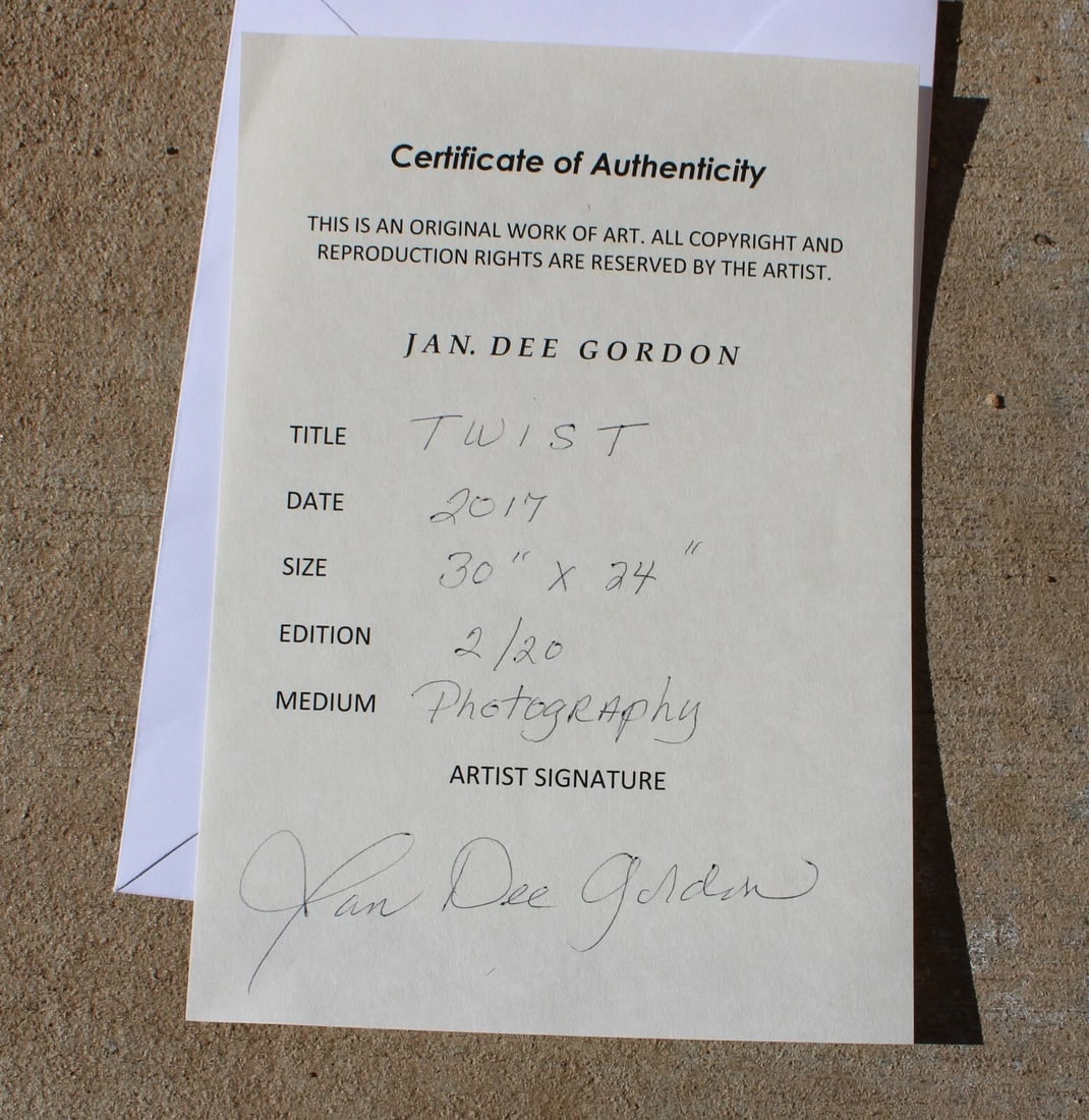 JAN DEE GORDON Back of a Female "TWIST" 2/20 Archival Pigment Print COA $950 - 5